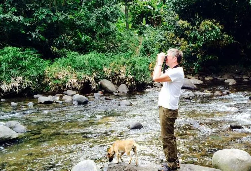 Retkeilymaja Hibiscus Valley Inn