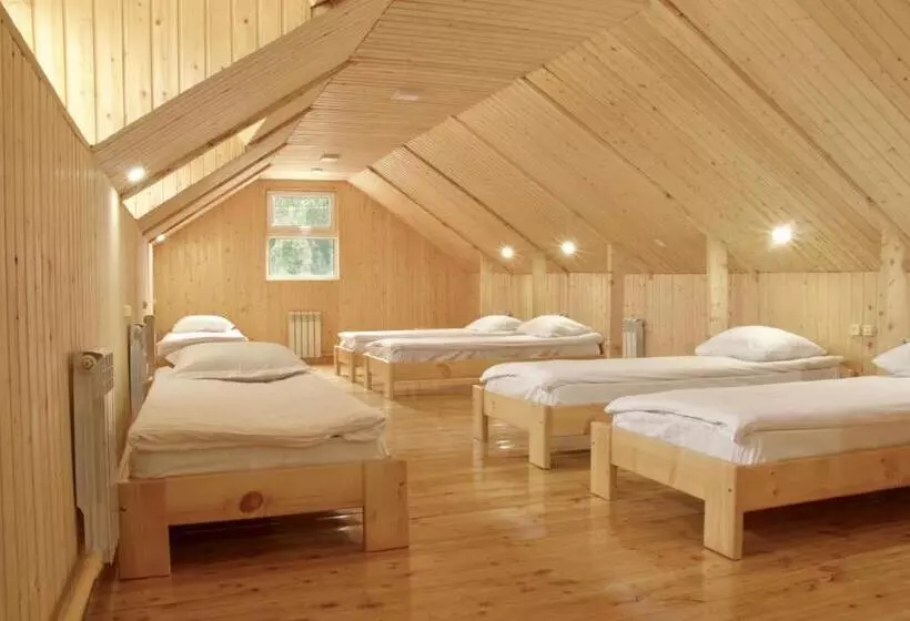 Hostel Nice