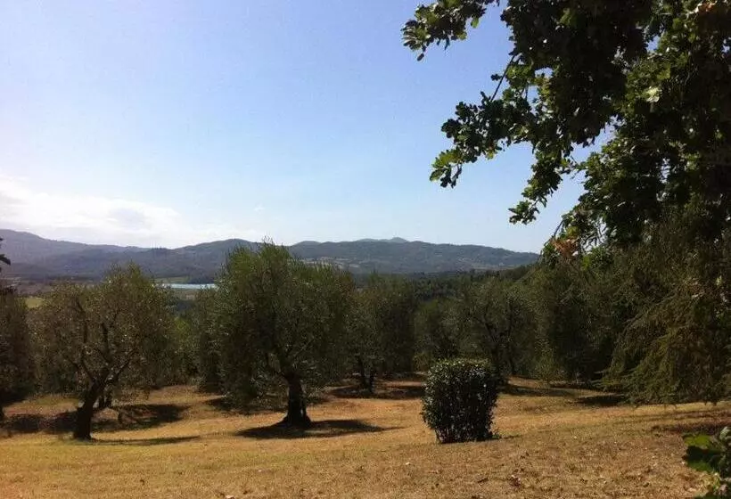 ホテル Agriturismo Il Palazzaccio