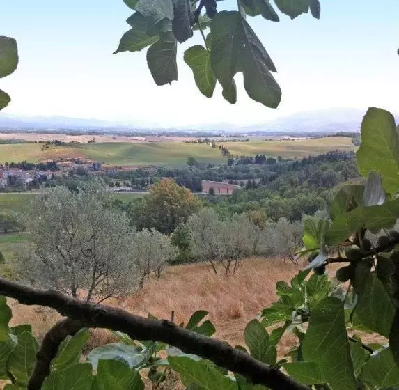 ホテル Agriturismo Il Palazzaccio