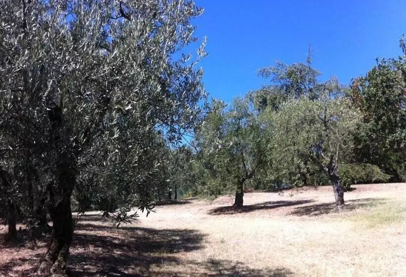 ホテル Agriturismo Il Palazzaccio