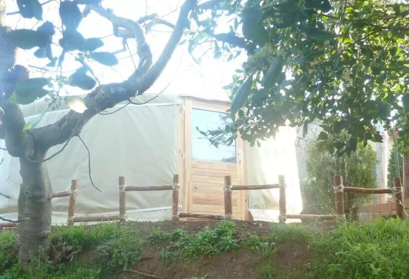ホテル Glamping Il Sole