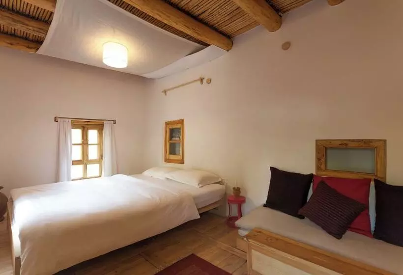 ホテル Nimmu House Ladakh
