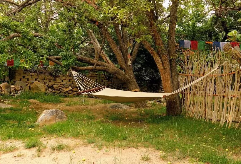 ホテル Nimmu House Ladakh