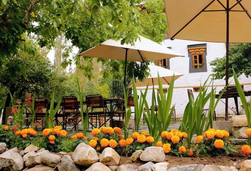 Hotel Nimmu House Ladakh