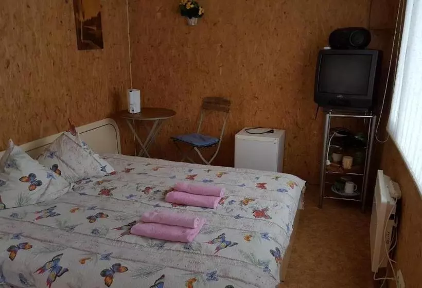 پانسیون Saulrieti