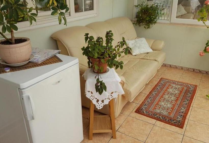 پانسیون Saulrieti