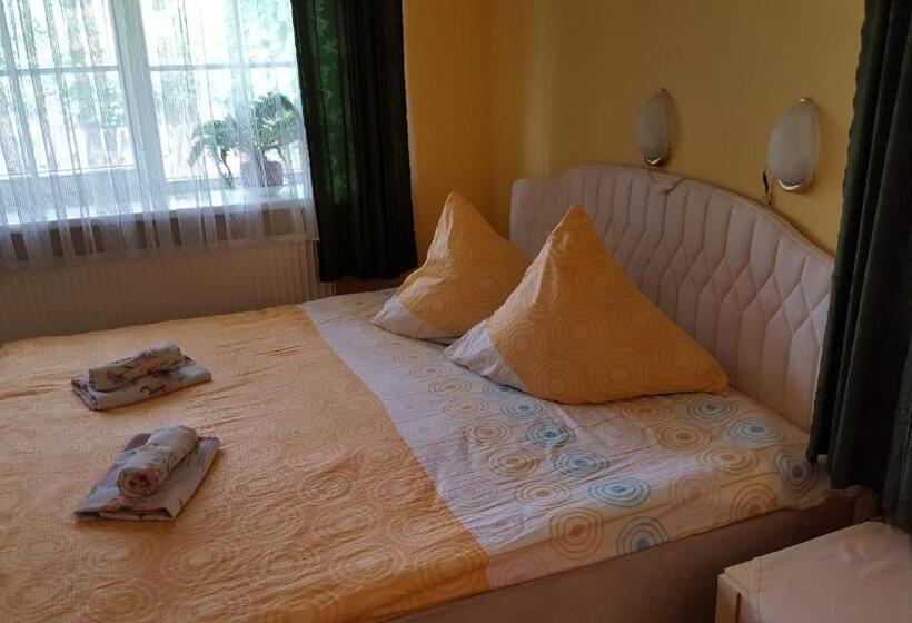 پانسیون Saulrieti