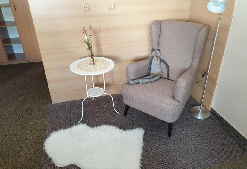 Отель Modrásek