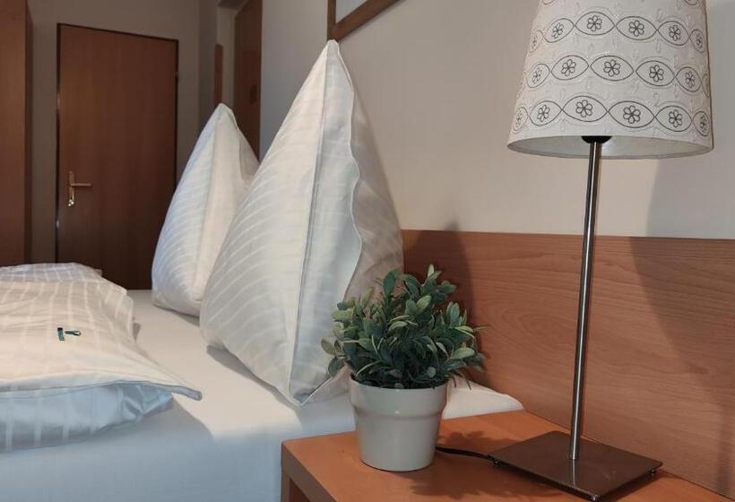 Отель Modrásek