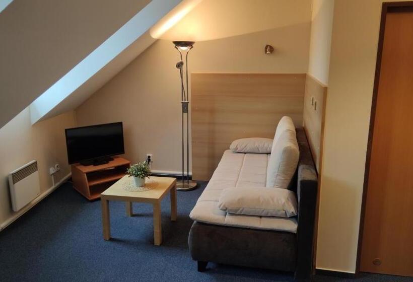 Отель Modrásek