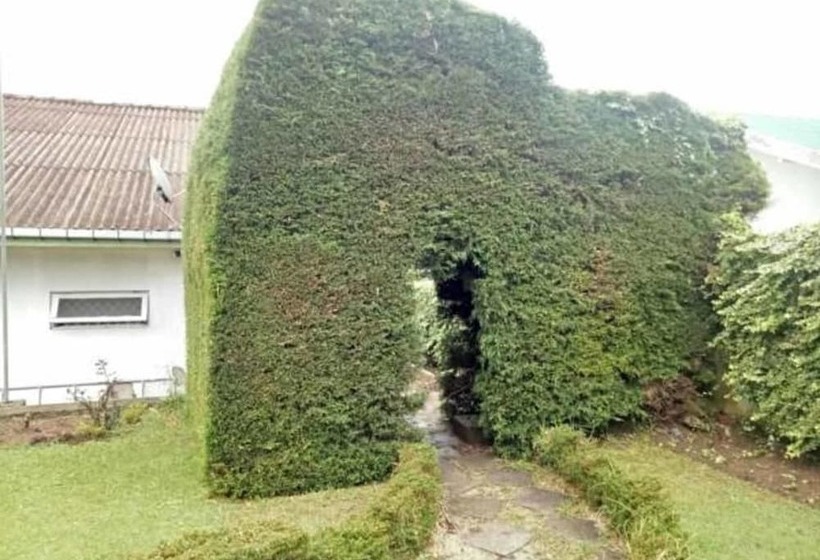 住宿加早餐  Royal Cocoon Nuwara Eliya