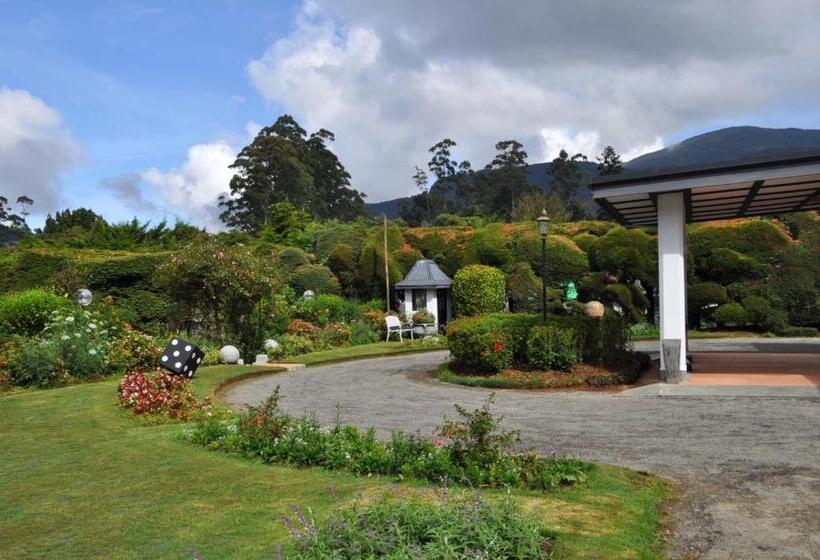 住宿加早餐  Royal Cocoon Nuwara Eliya