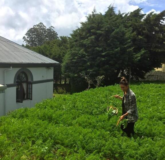 住宿加早餐  Royal Cocoon Nuwara Eliya