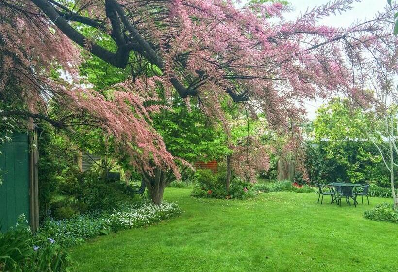 مبيت وإفطار The Racecourse Inn