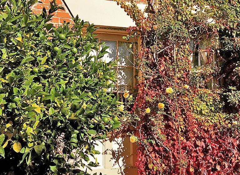 مبيت وإفطار The Racecourse Inn