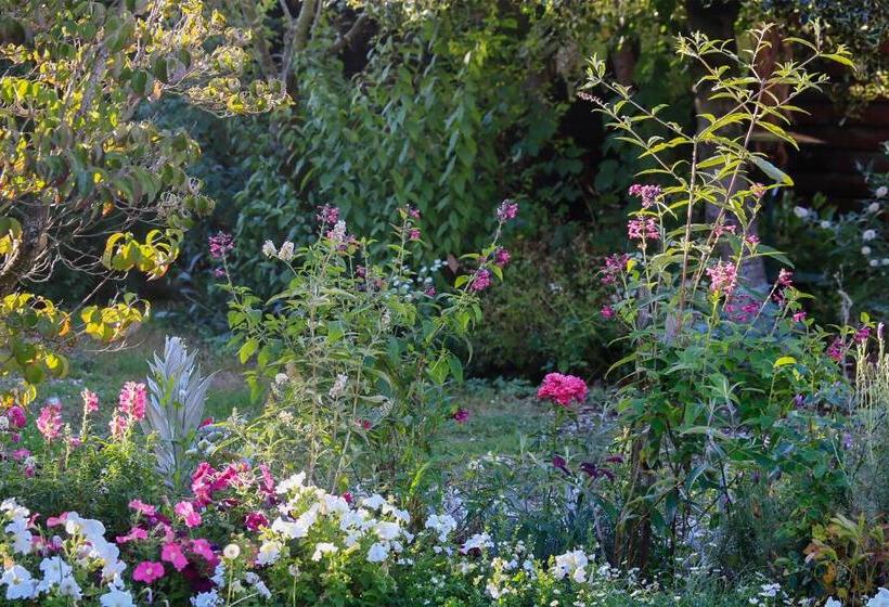 مبيت وإفطار The Racecourse Inn