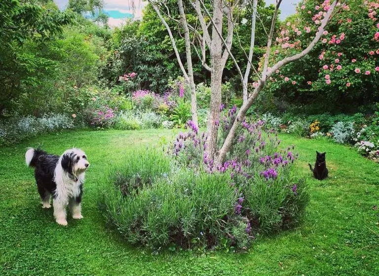 تختخواب و صبحانه The Racecourse Inn