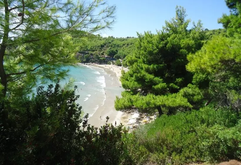 هتل Alonissos Beach Bungalows And Suites