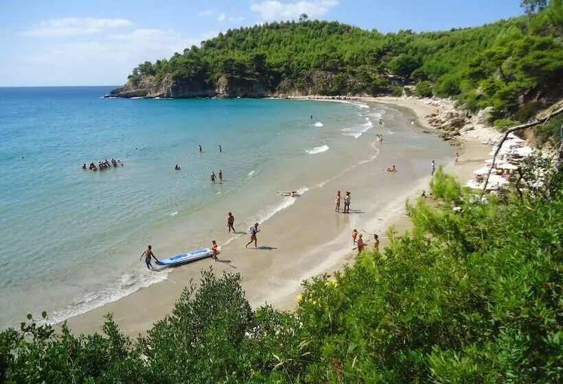 هتل Alonissos Beach Bungalows And Suites