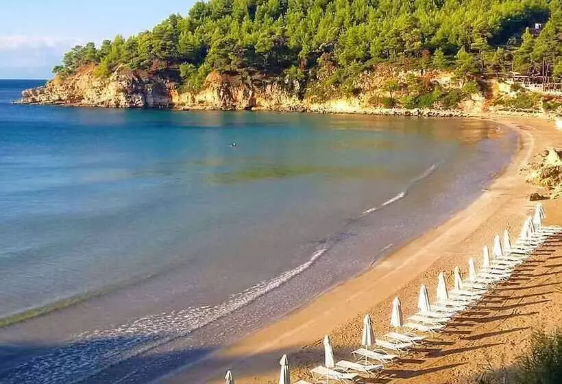هتل Alonissos Beach Bungalows And Suites