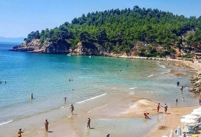 هتل Alonissos Beach Bungalows And Suites