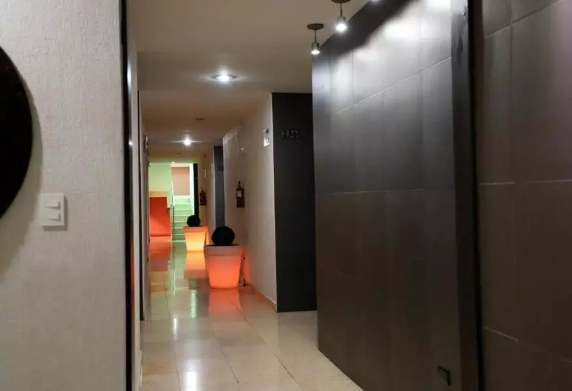 هتل Homesuites Rotarismo