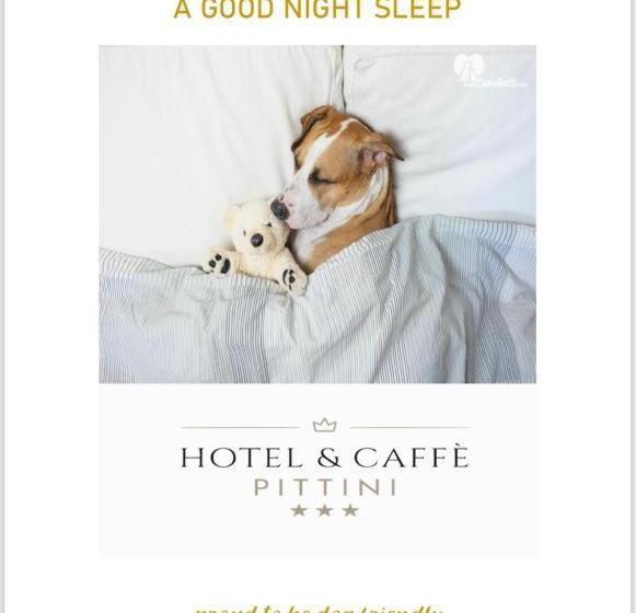 בית מלון כפרי Pittini