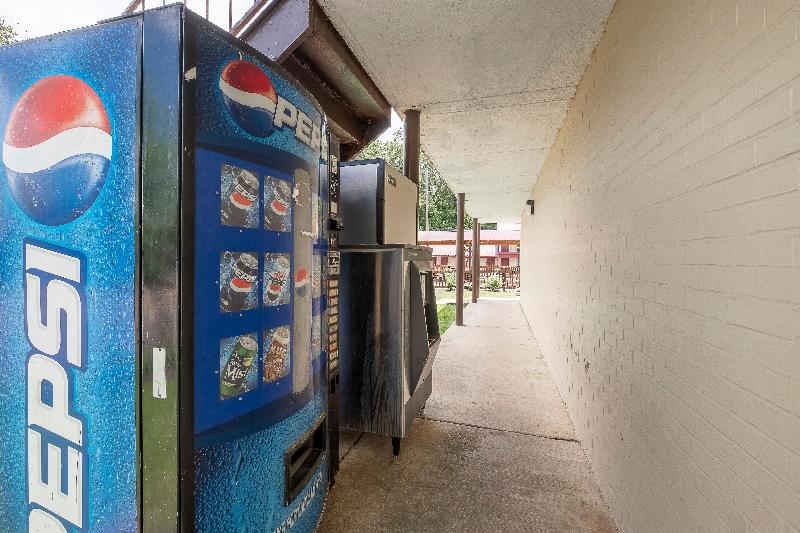 מוטל Red Roof Inn Starkville University