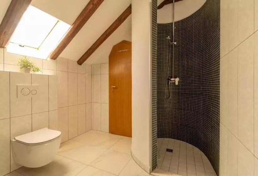 膳宿费 B&b Heritage Villa Apolon