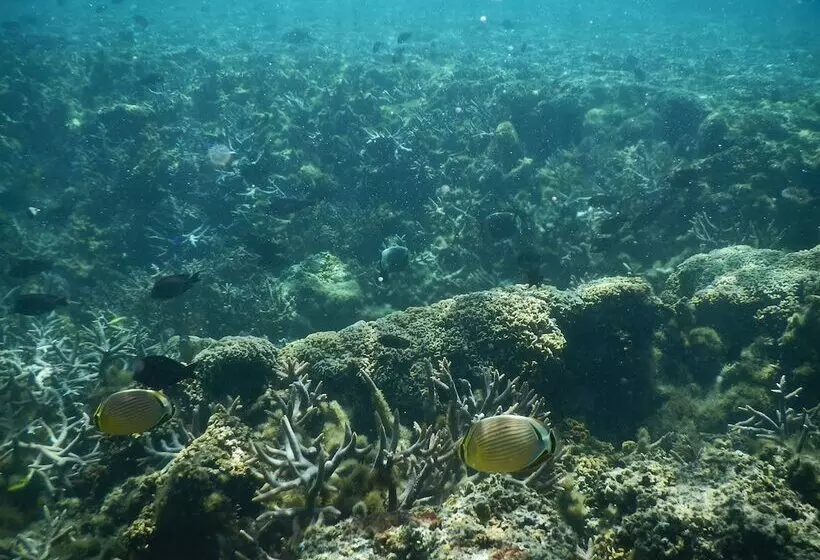 استراحتگاه Stevensons At Manase