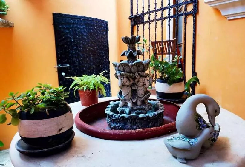 호텔 Casa Mallorca