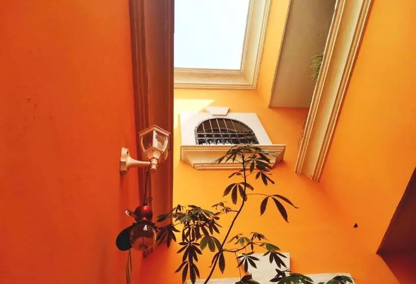 호텔 Casa Mallorca