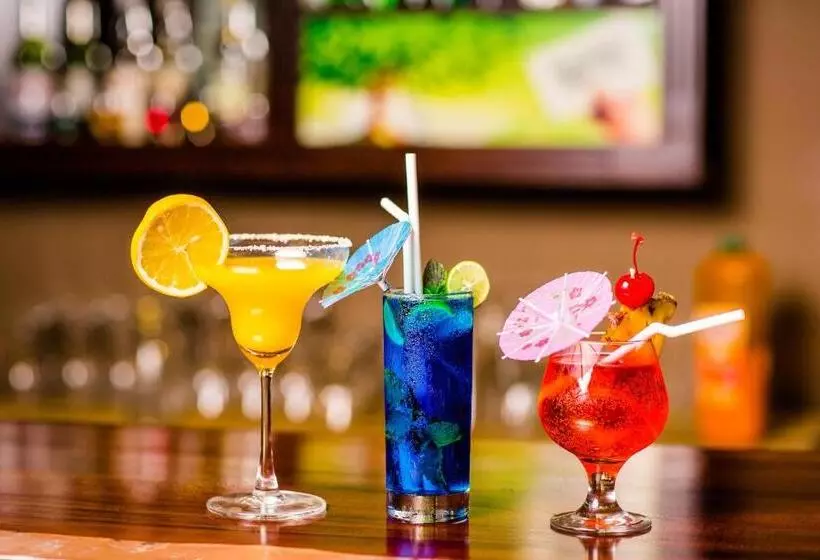 Kandy City Hotel By Earl S