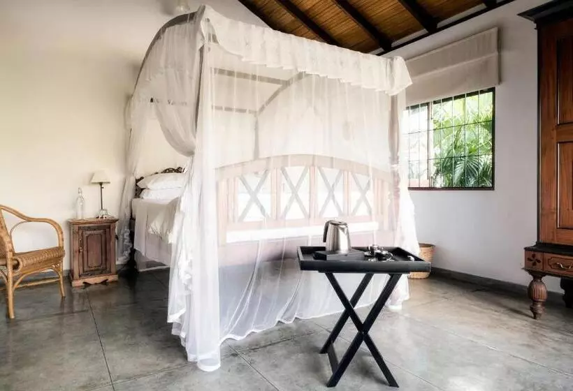 בית מלון כפרי Mount Lodge Boutique