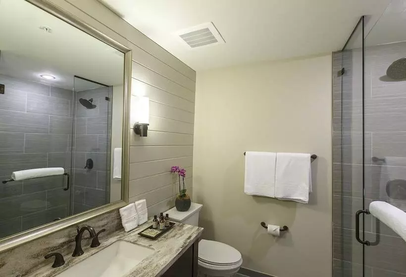 Отель The Inn At Chesapeake Bay Beach Club