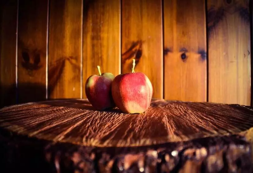 호텔 Vecchia America