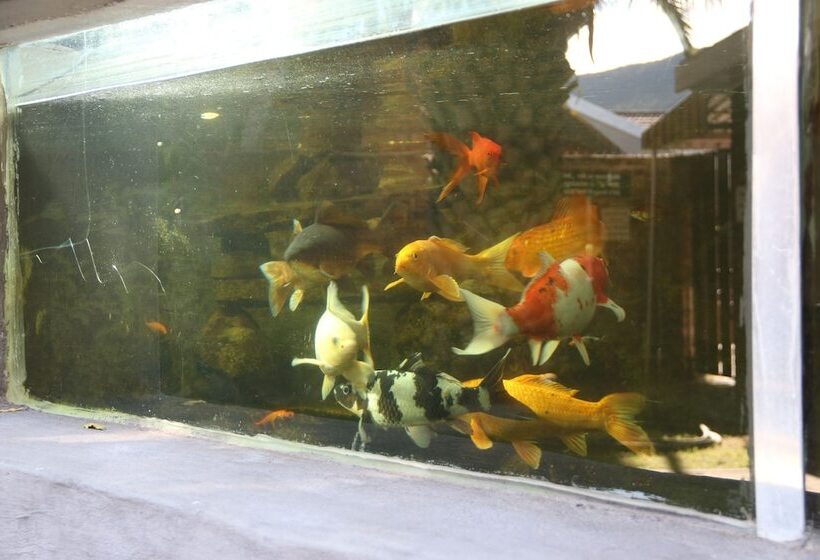 צימר Aan Die Oewer Guest House