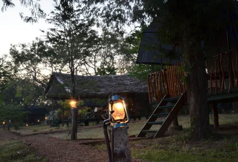 فندق Camp Leopard   Yala Safari Glamping
