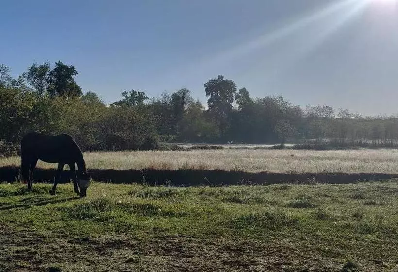 بنسيون Agriturismo Helianthus
