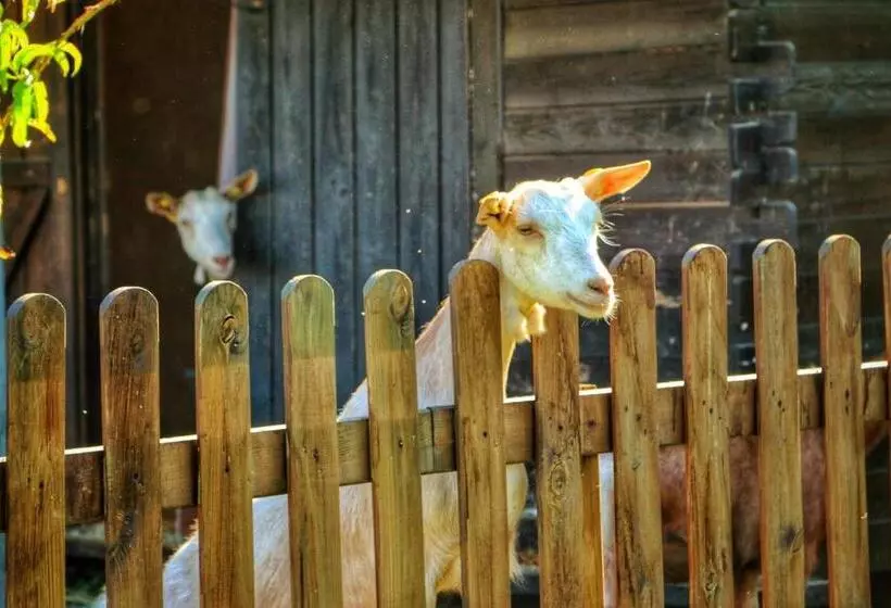 بنسيون Agriturismo Helianthus