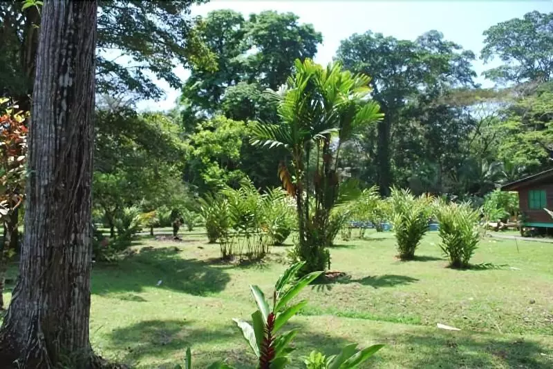 Hotel El Pizote Lodge