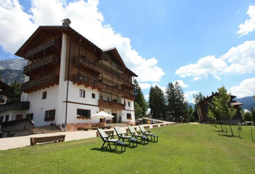 בית מלון כפרי Oasi