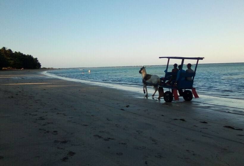 호텔 Pousada Bem Te Vi