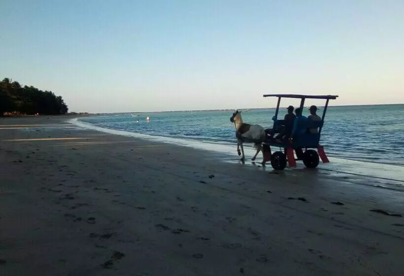 Отель Pousada Bem Te Vi