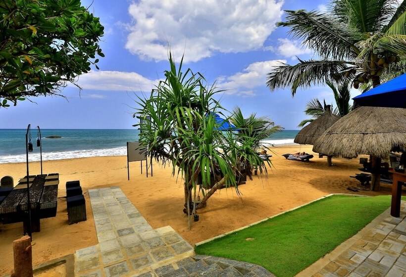 فندق Sea Rock Villa