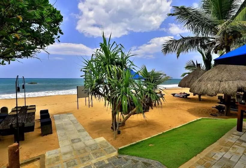 Hotel Sea Rock Villa