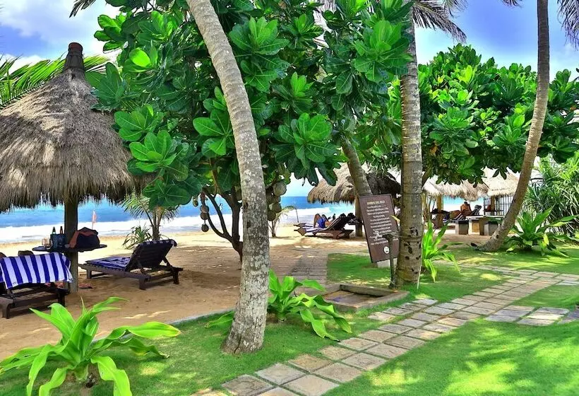 Hotel Sea Rock Villa