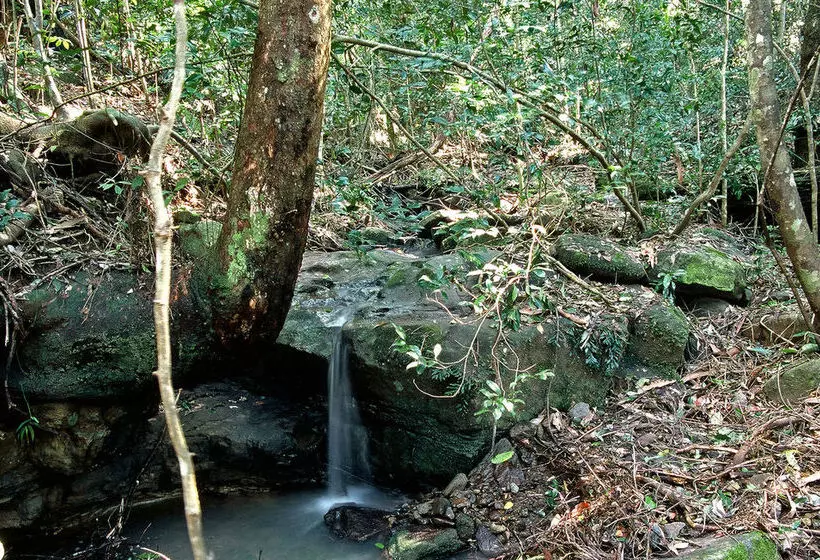 Montville Oceanview Cottages