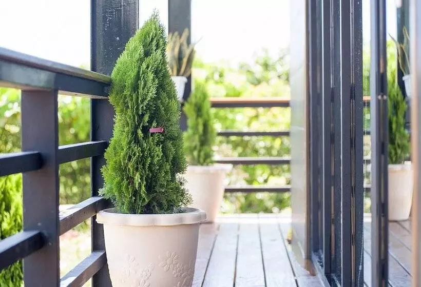 پانسیون Cape 42 Hotel Ill